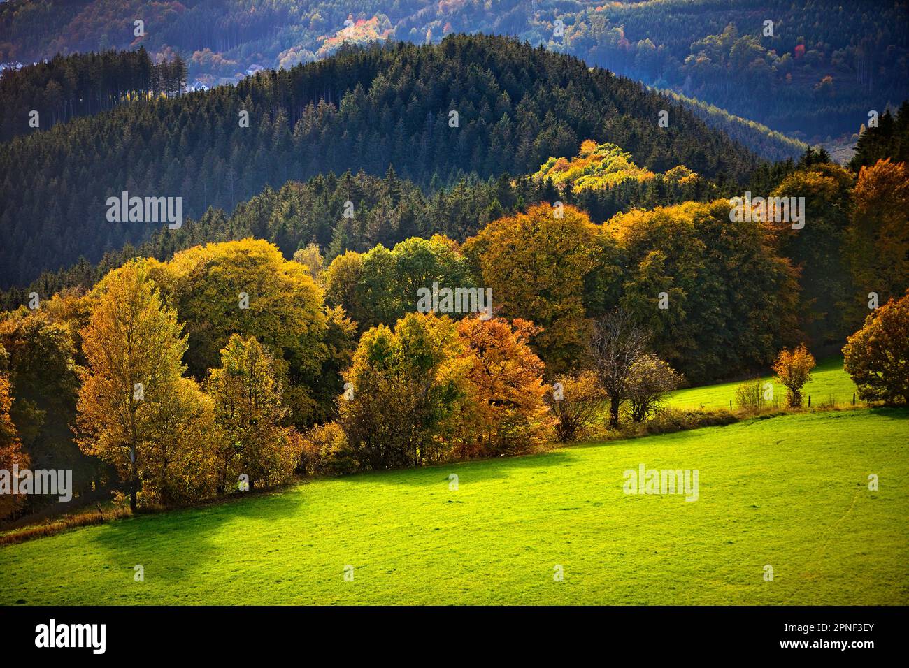 View from Schomberg mountain, Wildewiese, Germany, North Rhine-Westphalia, Sauerland, Sundern Stock Photo