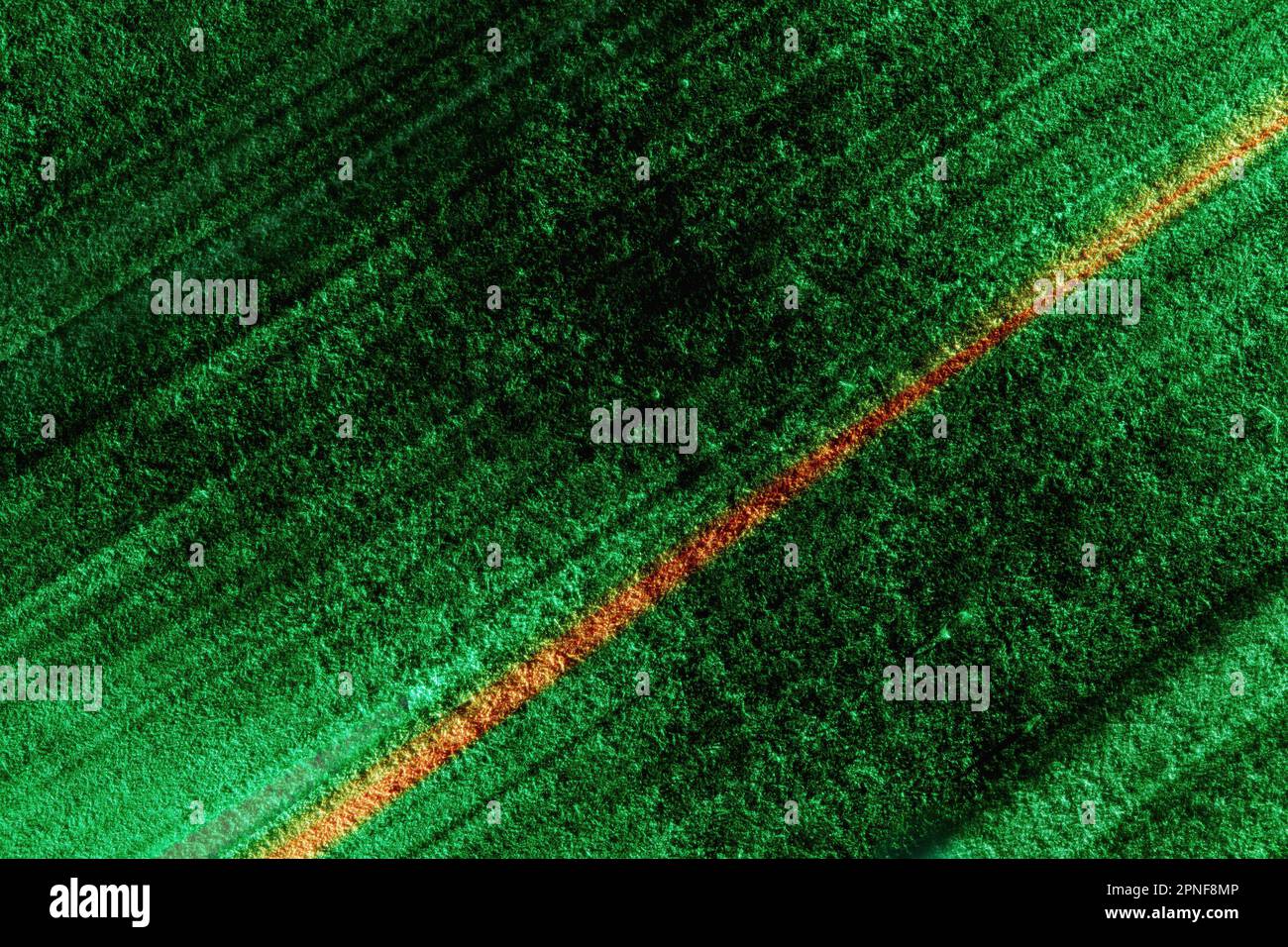 Green and yellow abstract background Stock Photo