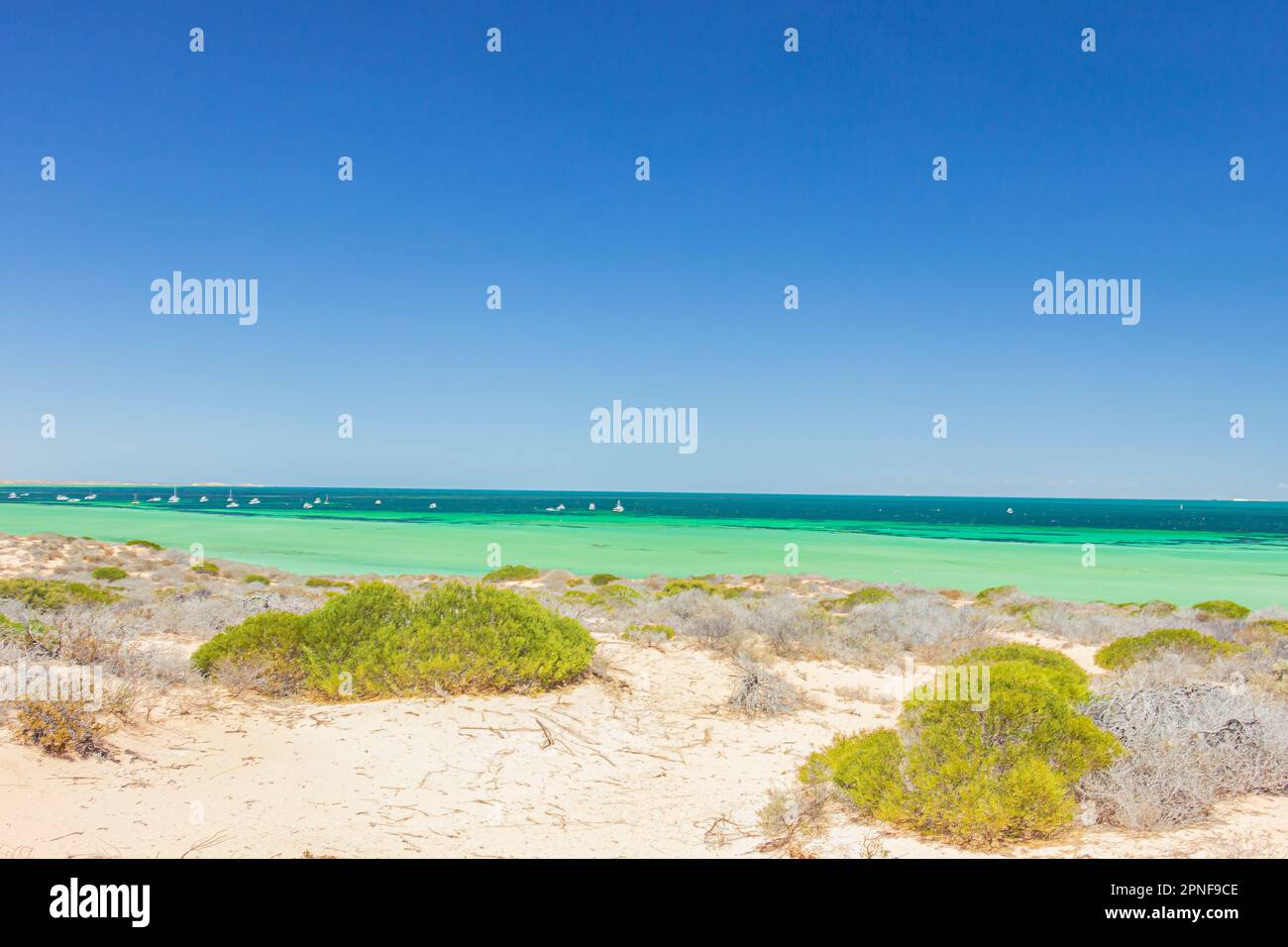 Arid landscape at the shore of Little Lagoon near Denham in Shark Bay, Western Australia, Australia. Stock Photo