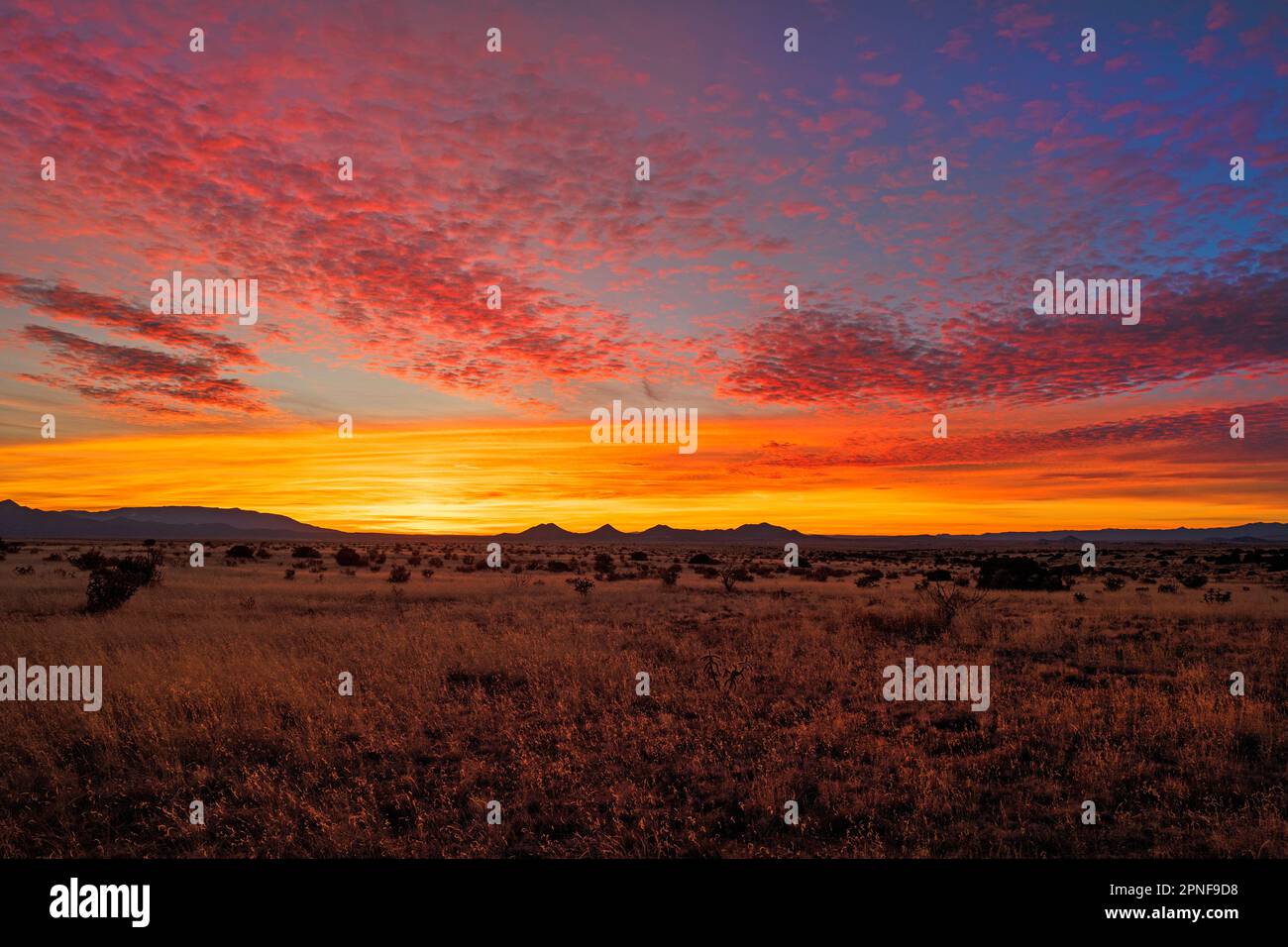 Dramatic sky landscape in hi-res stock photography and images - Alamy