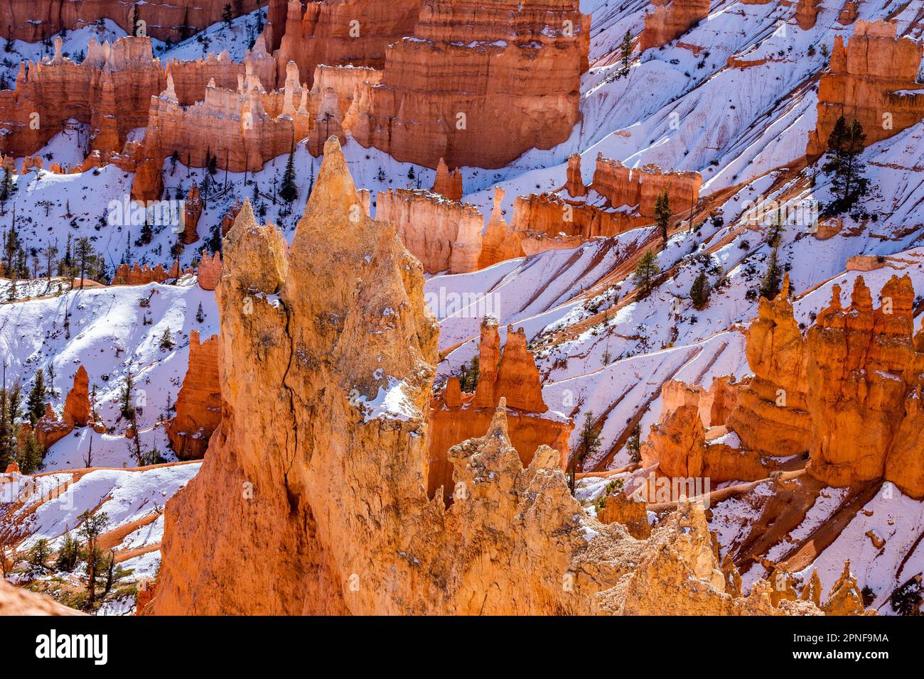 United States, Utah, Bryce Canyon National Park, Hoodoo sandstone rock formations Stock Photo