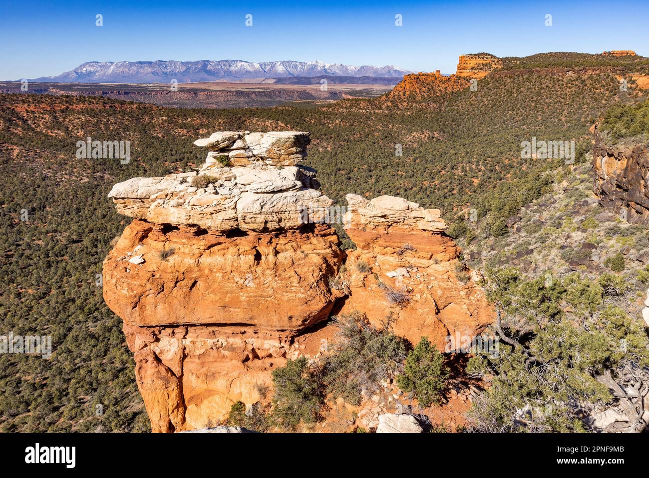 United States, Utah, Zion National Park, Sandstone rock formation Stock Photo