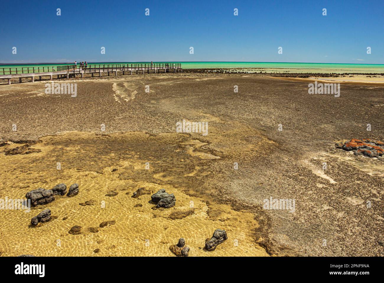 Tide pool area hi-res stock photography and images - Alamy