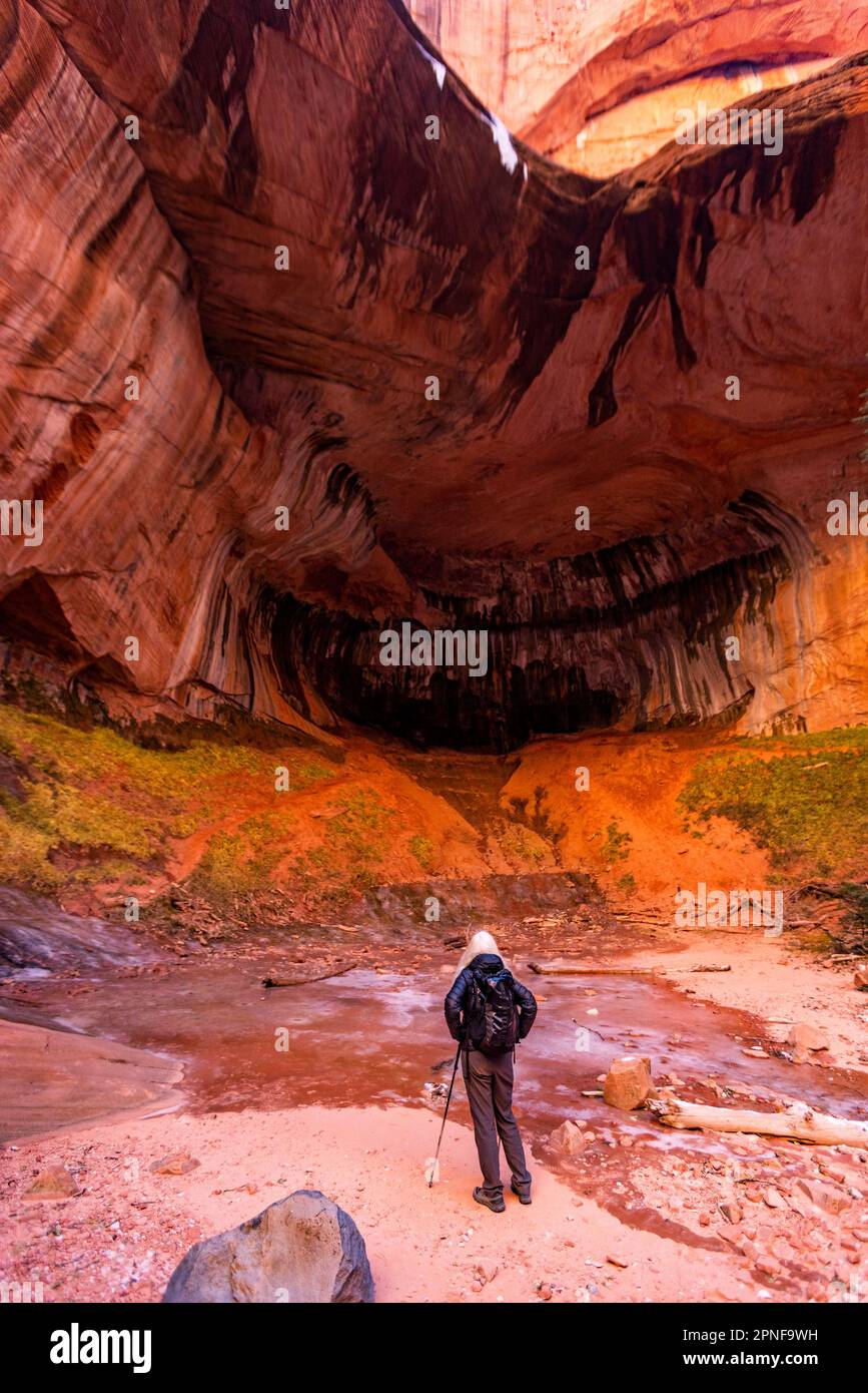 United States, Utah, Zion National Park, Senior blonde woman hiking