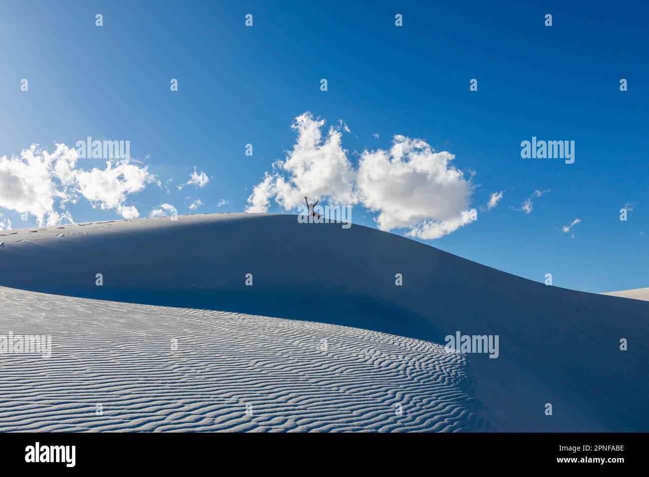 United States, New Mexico, White Sands National Park, Boy (10-11) sand boarding in desert Stock Photo