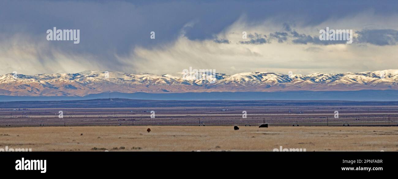 United States, Idaho, View across open land to snowcapped Owyhee Mountains Stock Photo