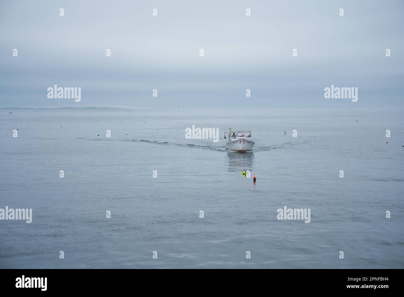 Fishing boat returning to harbor from the fog in Maine Stock Photo Alamy