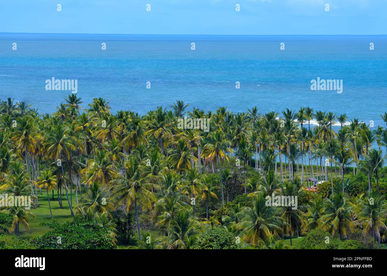Bahia brazil aerial hi-res stock photography and images - Alamy