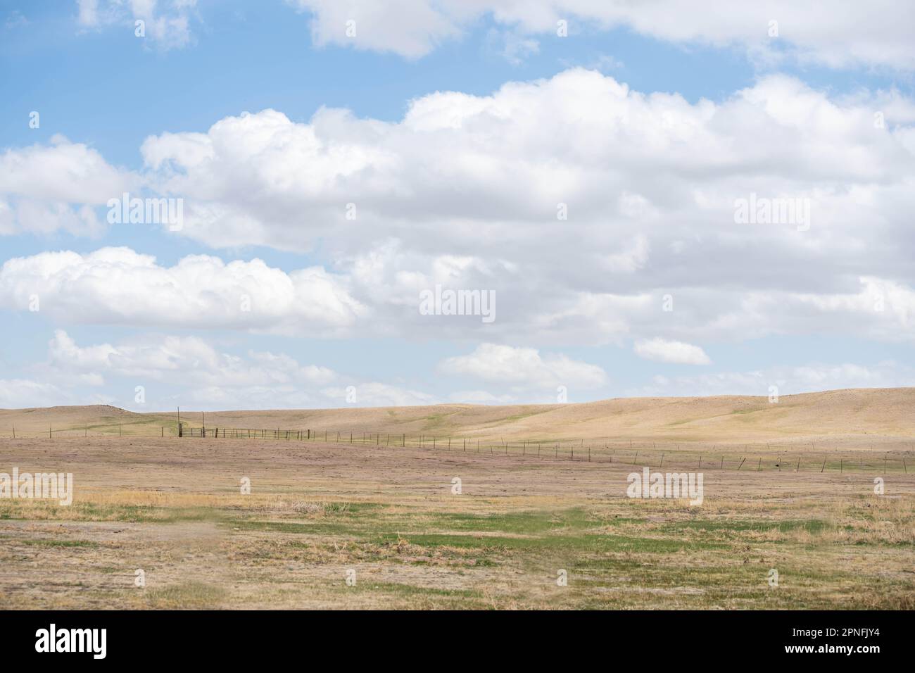 An overlooking view in Terry Bison Ranch, Wyoming Stock Photo