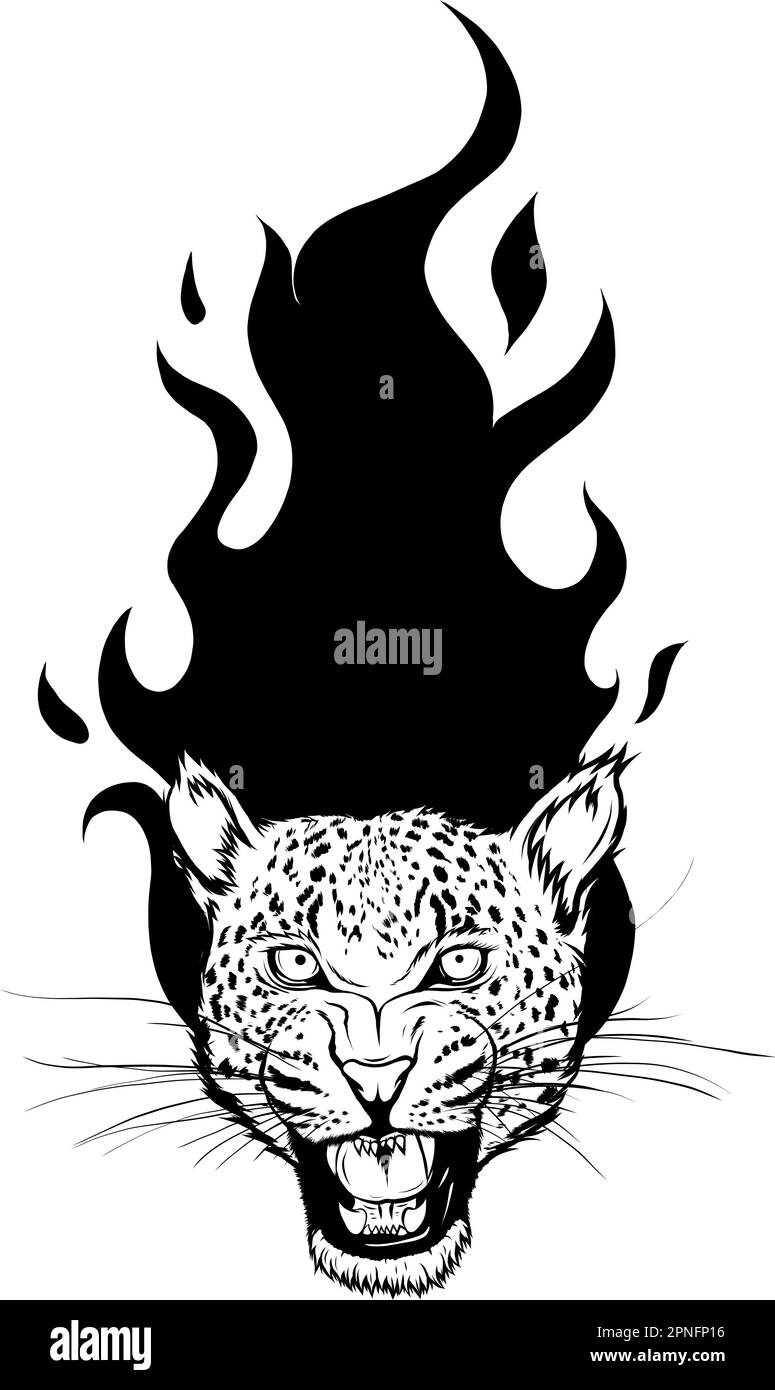 jungle animal portrait leopard head face vector illustration Stock