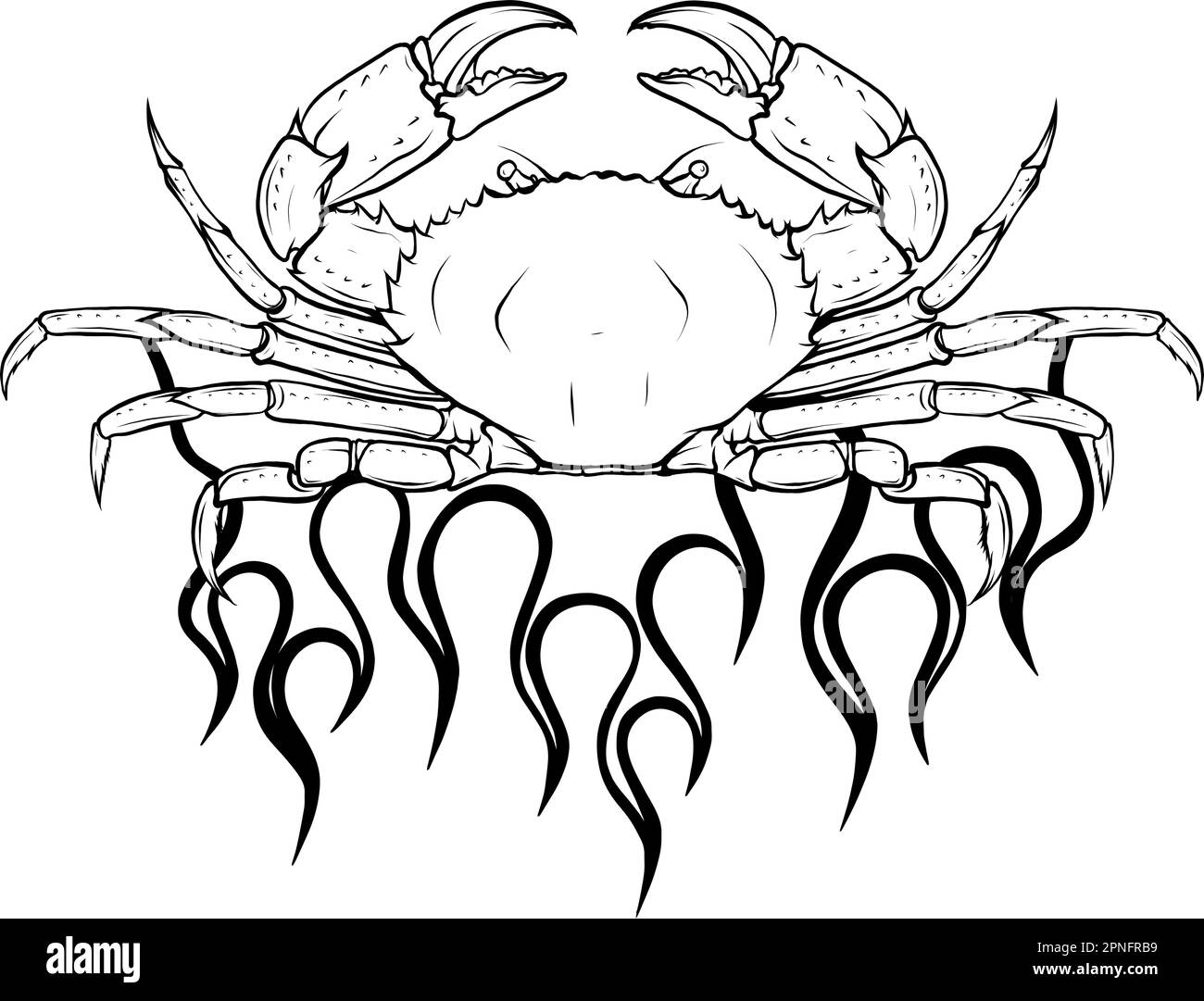 crab vector illustration hand drawn on white background Stock Vector