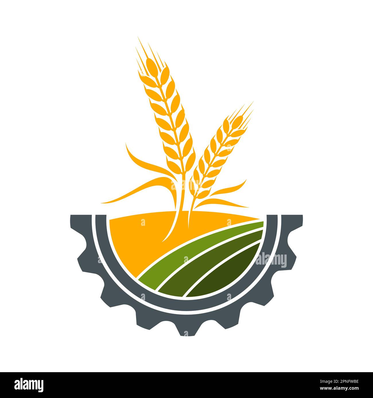 Wheat spikes vector vectors Cut Out Stock Images & Pictures Alamy