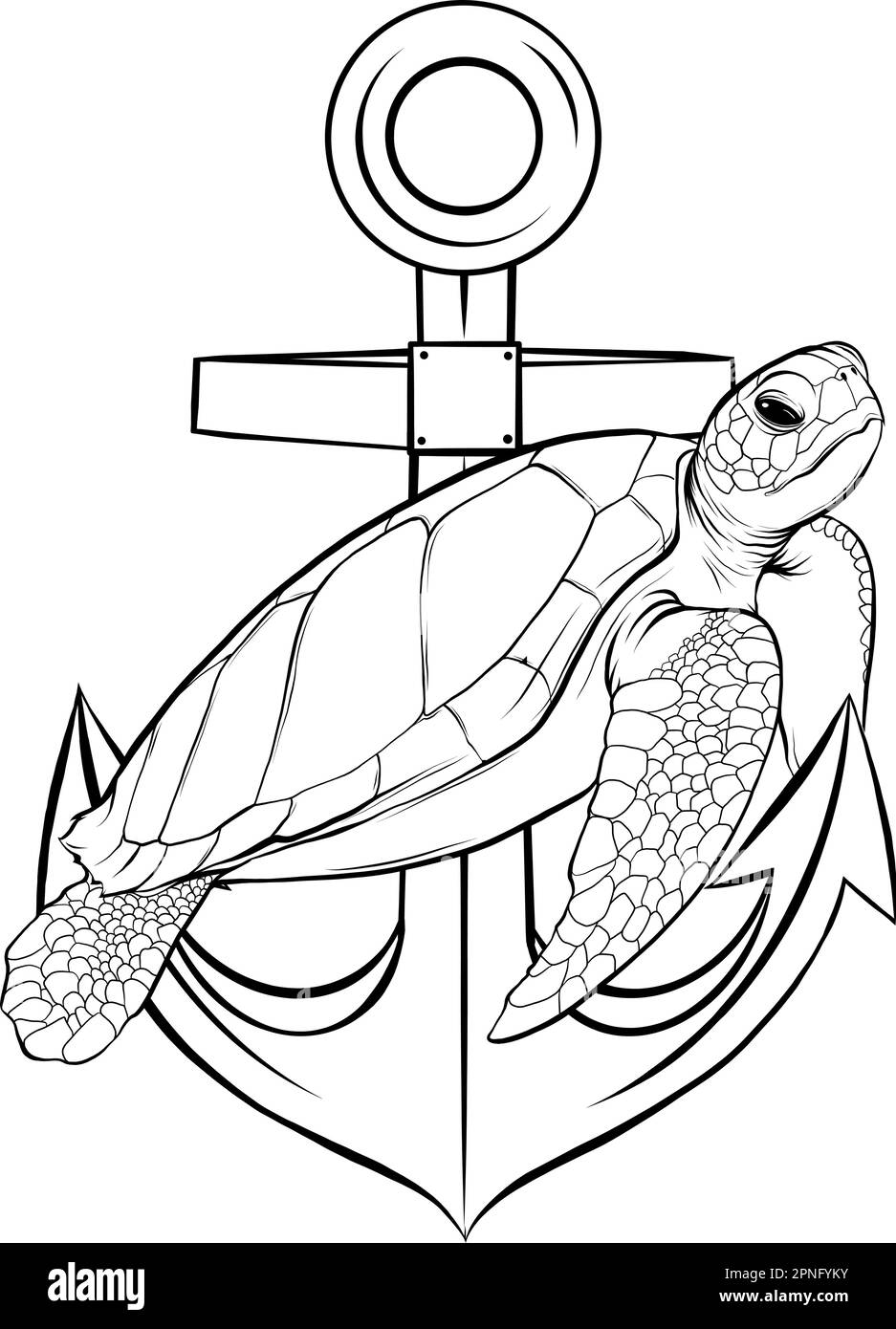 monochrome Sea turtle. Drawing with black lines, marker. Vector illustration Stock Vector
