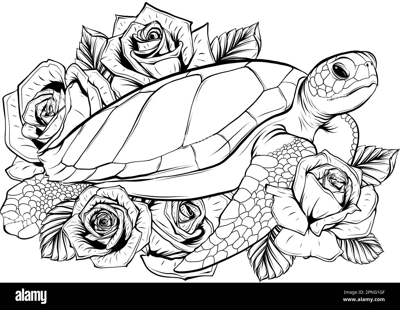 Sea turtle vector illustration in vintage monochrome style isolated on