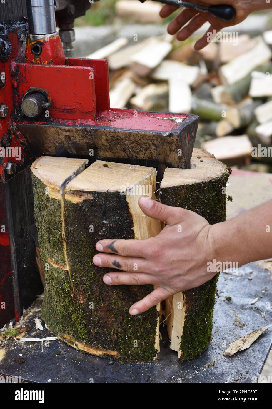 Worker making firewood with a log splitter germany stock photo alamy