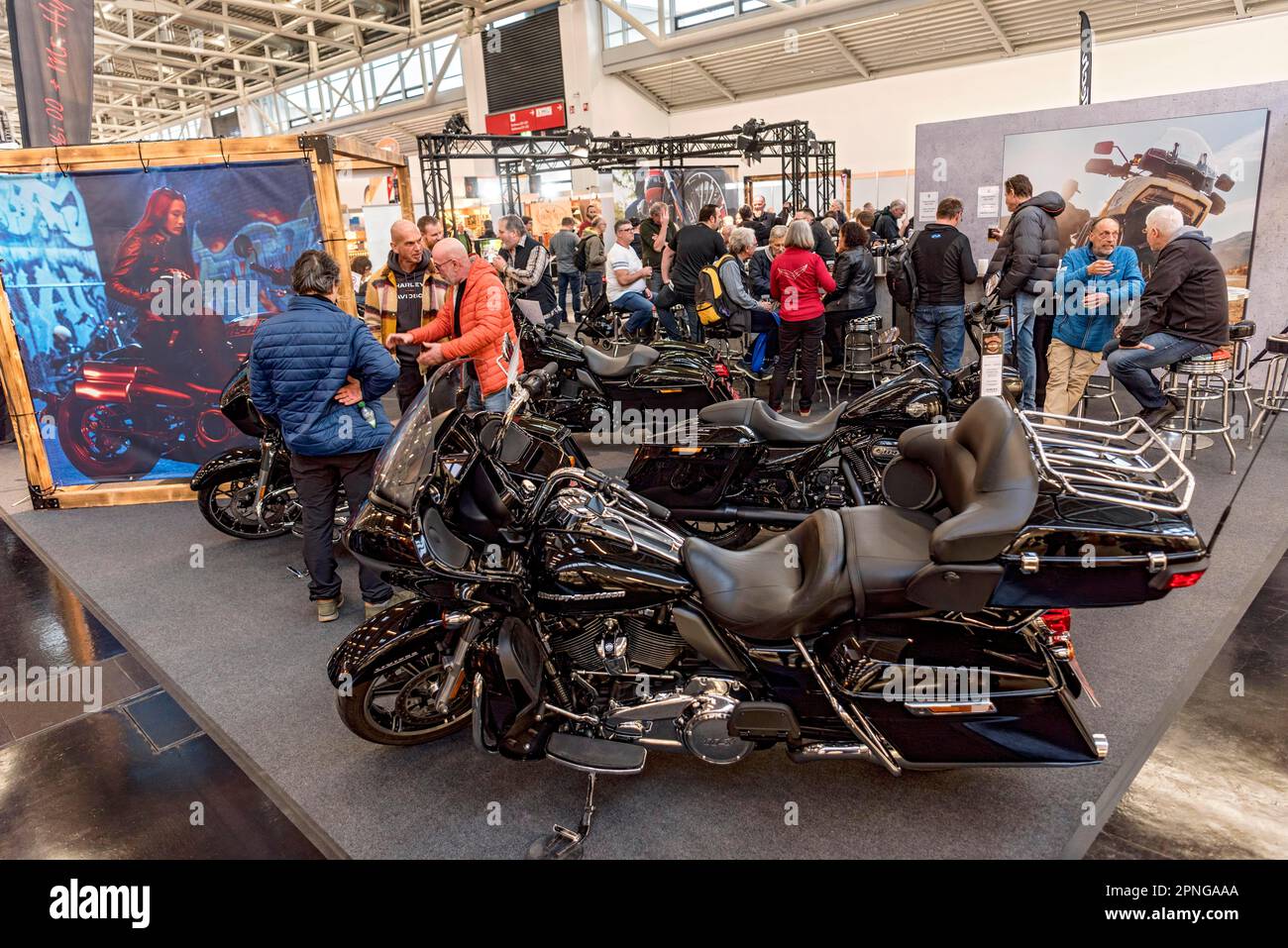 HarleyDavidson FLHXS Street Glide Special, House of Flames, Haley