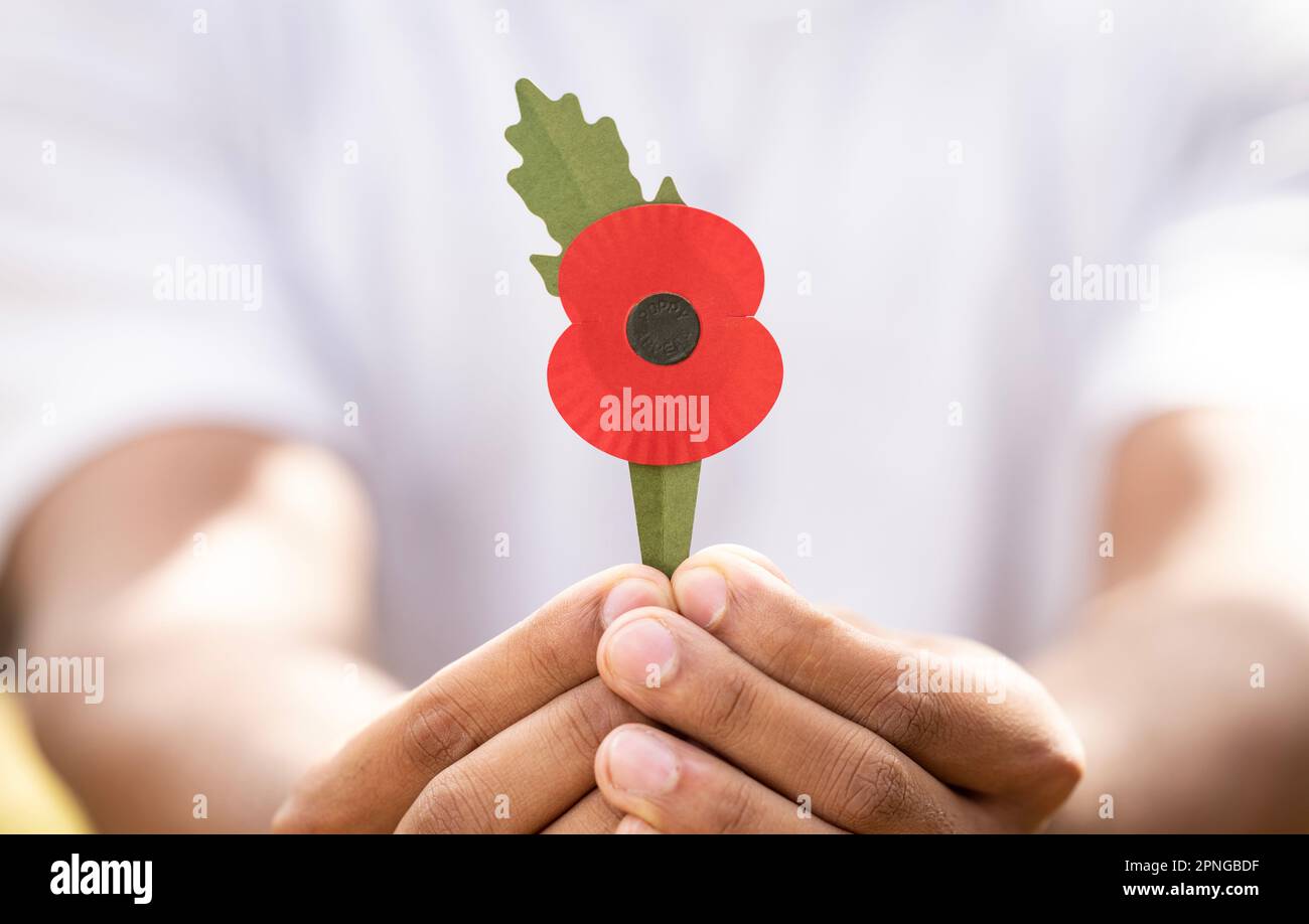Undated handout photo issued by Royal British Legion of its new 100% ...