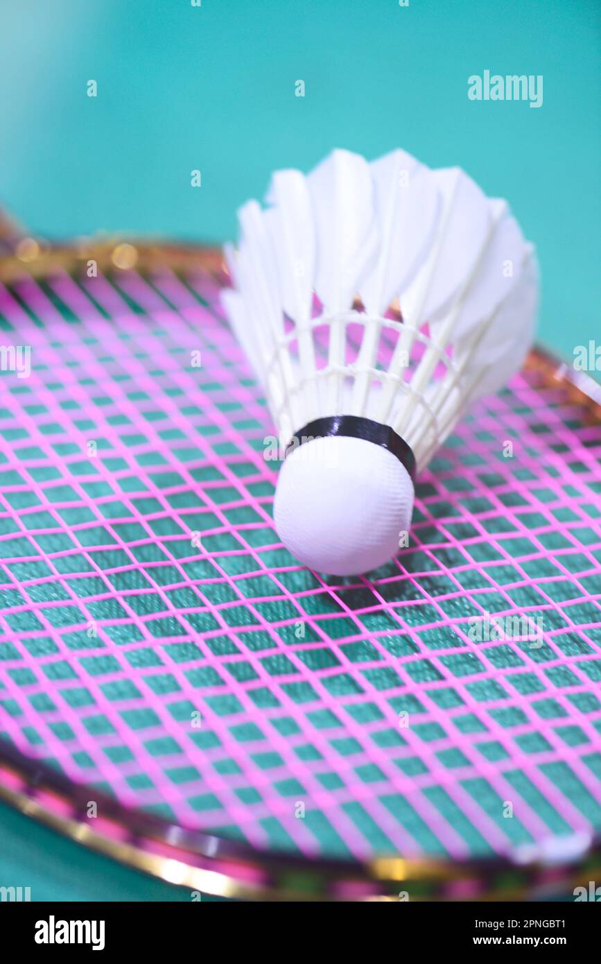 Badminton court hires stock photography and images Alamy