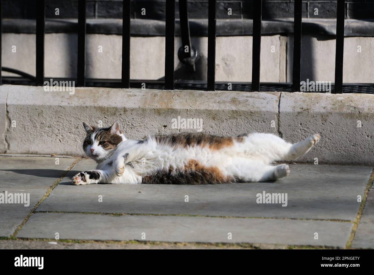 London, UK. 18th April, 2022. Official Chief Mouser to the