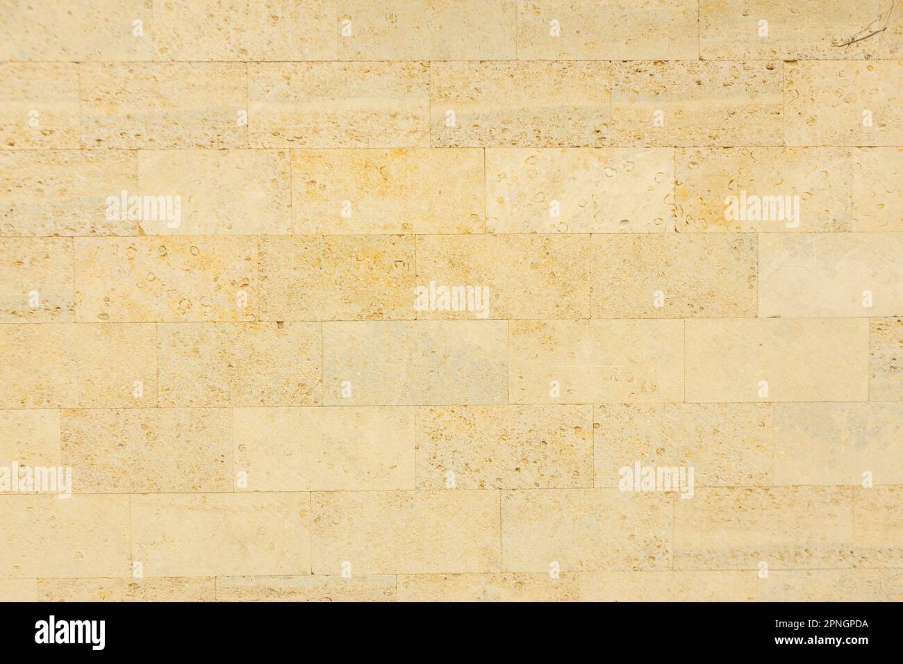 Shell limestone wall texture background. Stock Photo