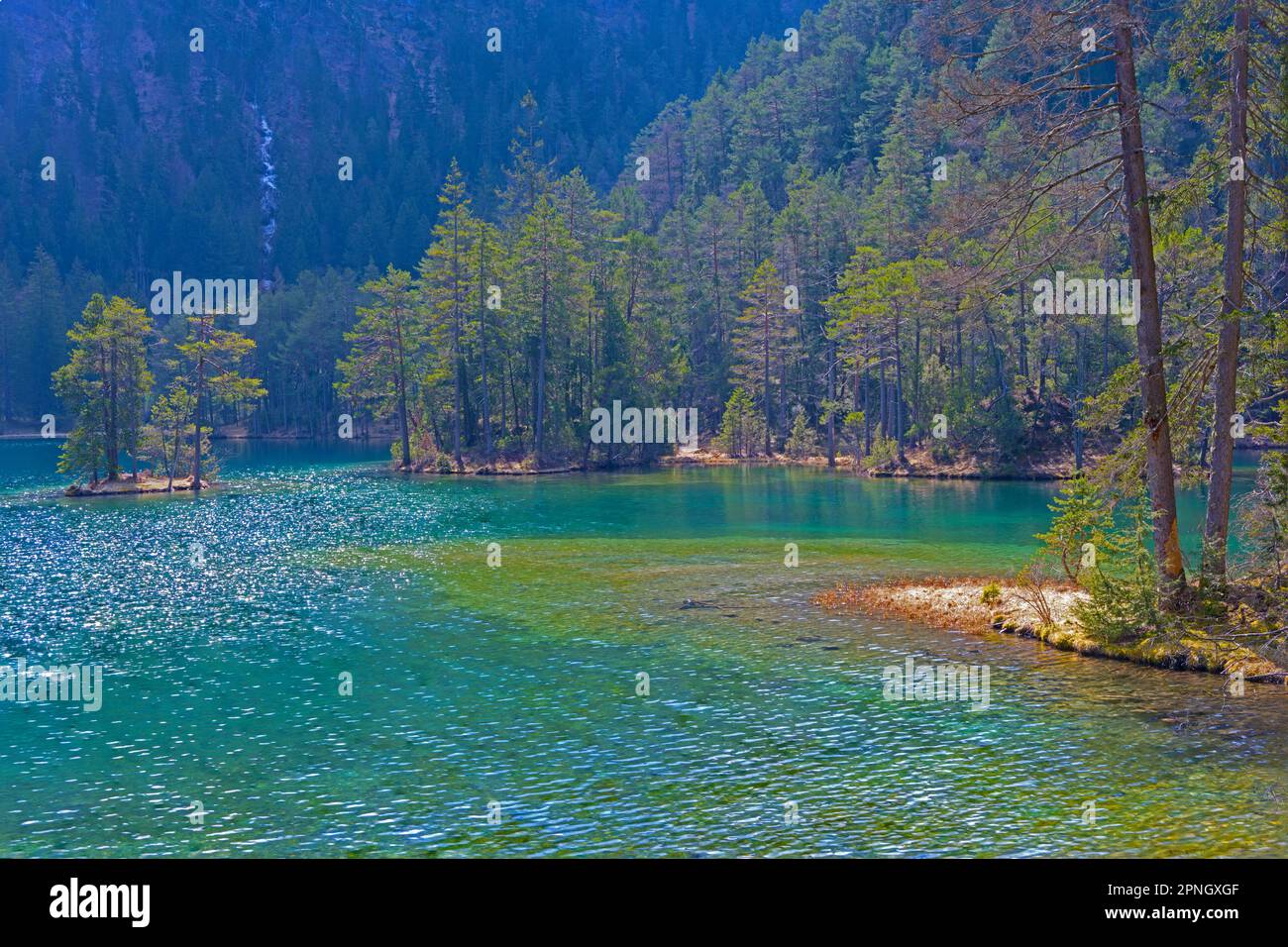 Partial view of a clear Tyrolean mountain lake surrounded by woods forest and trees as a concept for secluded place untouched nature wilderness advent Stock Photo
