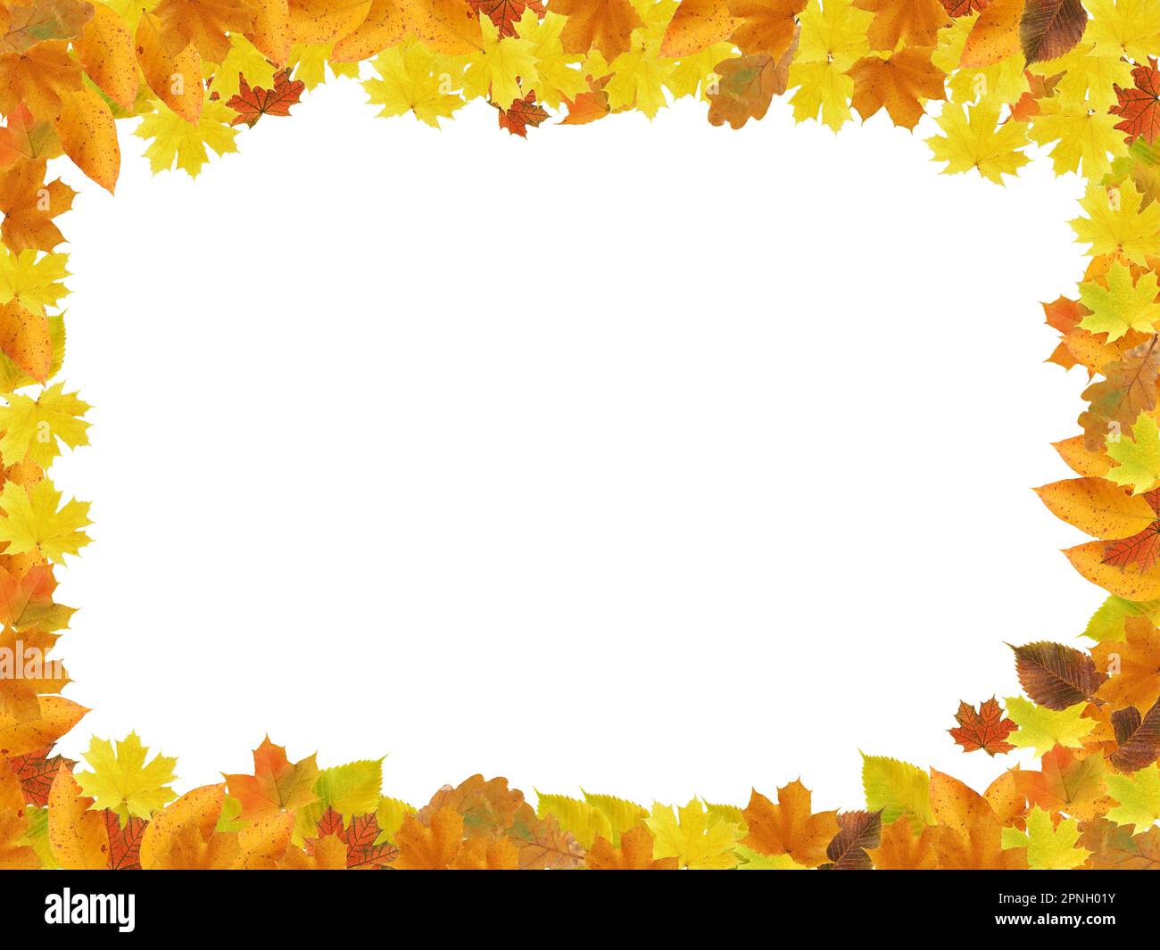 Nice picture frame made from lot of autumn leaves Stock Photo