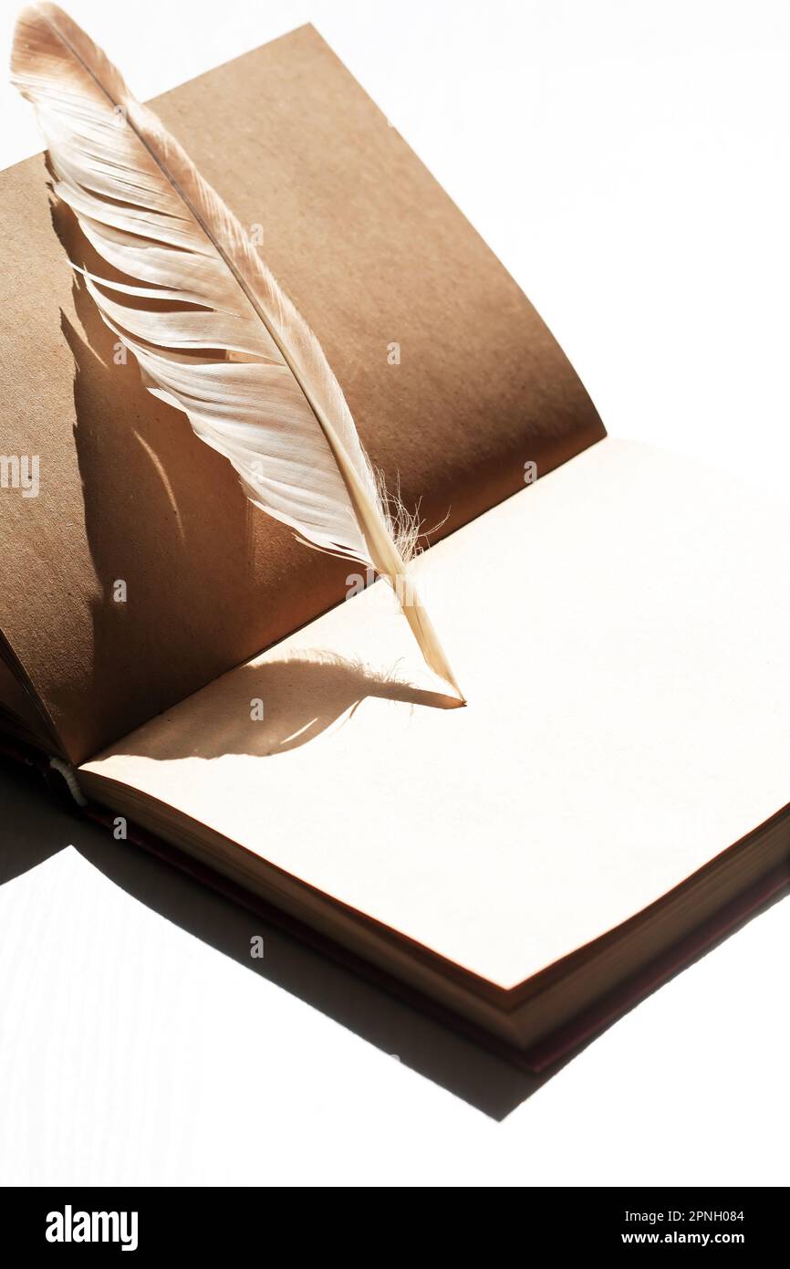 Still Life With Open Book And Quill Pen Under Sun Light Stock Photo Alamy Still Life With Open Book And Quill Pen Under Sun Light 2PNH084