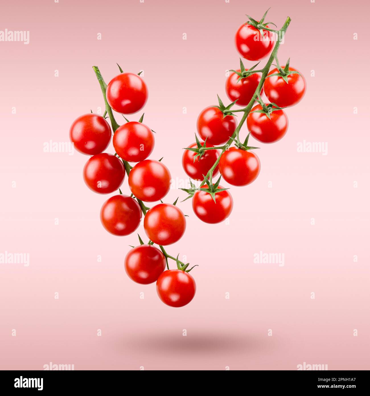 Branches with small red cherry tomatoes floating on pink background. Stock Photo