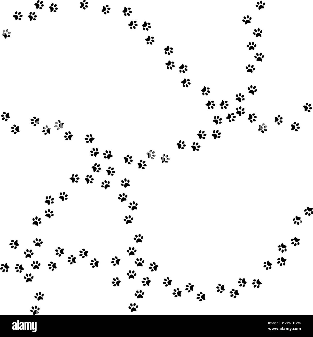 Pads of cat paws. Animal paw prints on ground. Pets and wild animals