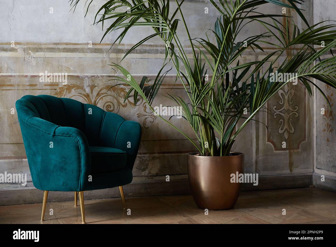 Green armchair next to a large flower. The interior of a country house. Concept of simple living. Comfortable apartment with old fashionable furniture Stock Photo