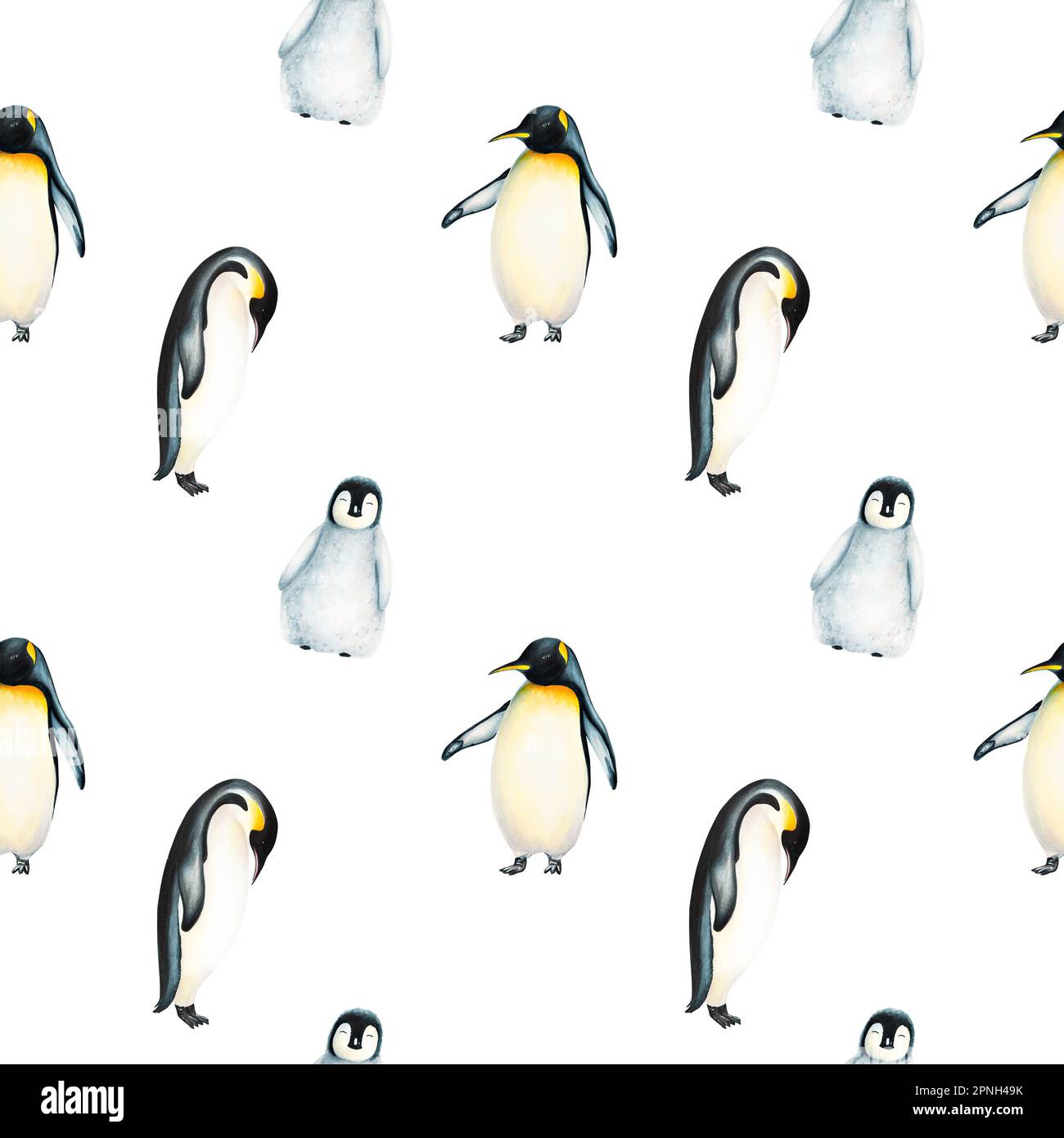 Watercolor seamless pattern with king penguin family isolated. Hand painting realistic Arctic and Antarctic ocean mammals. For designers, decoration Stock Photo