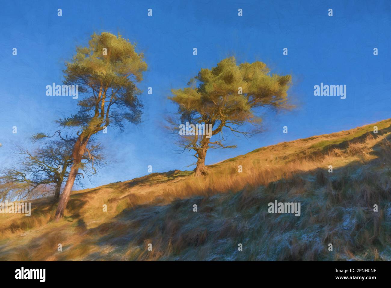 Digital painting of two trees at Goyt valley within the Peak District National Park. Stock Photo