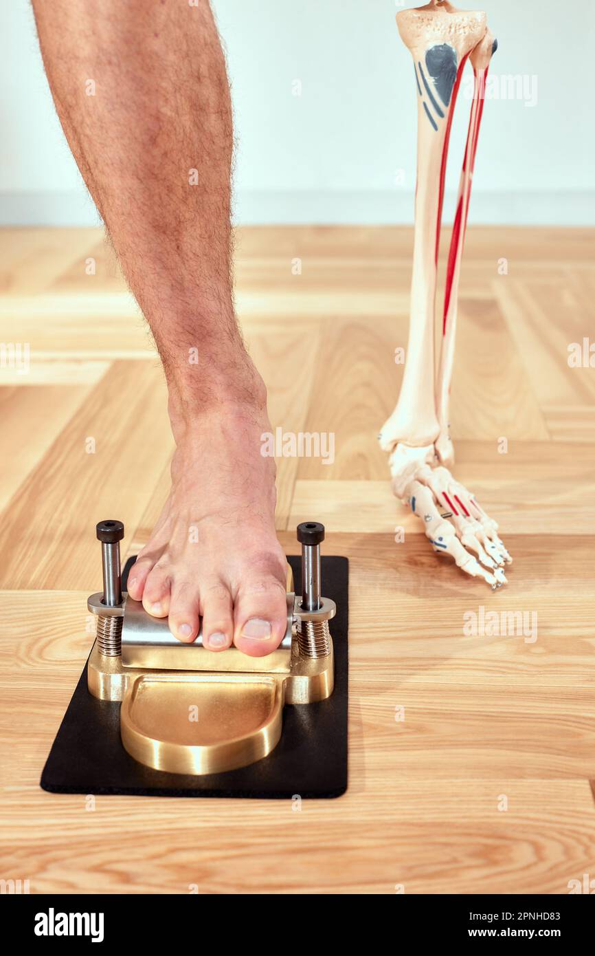 Diagnosis of flat feet human leg and medical skeleton and orthopedic