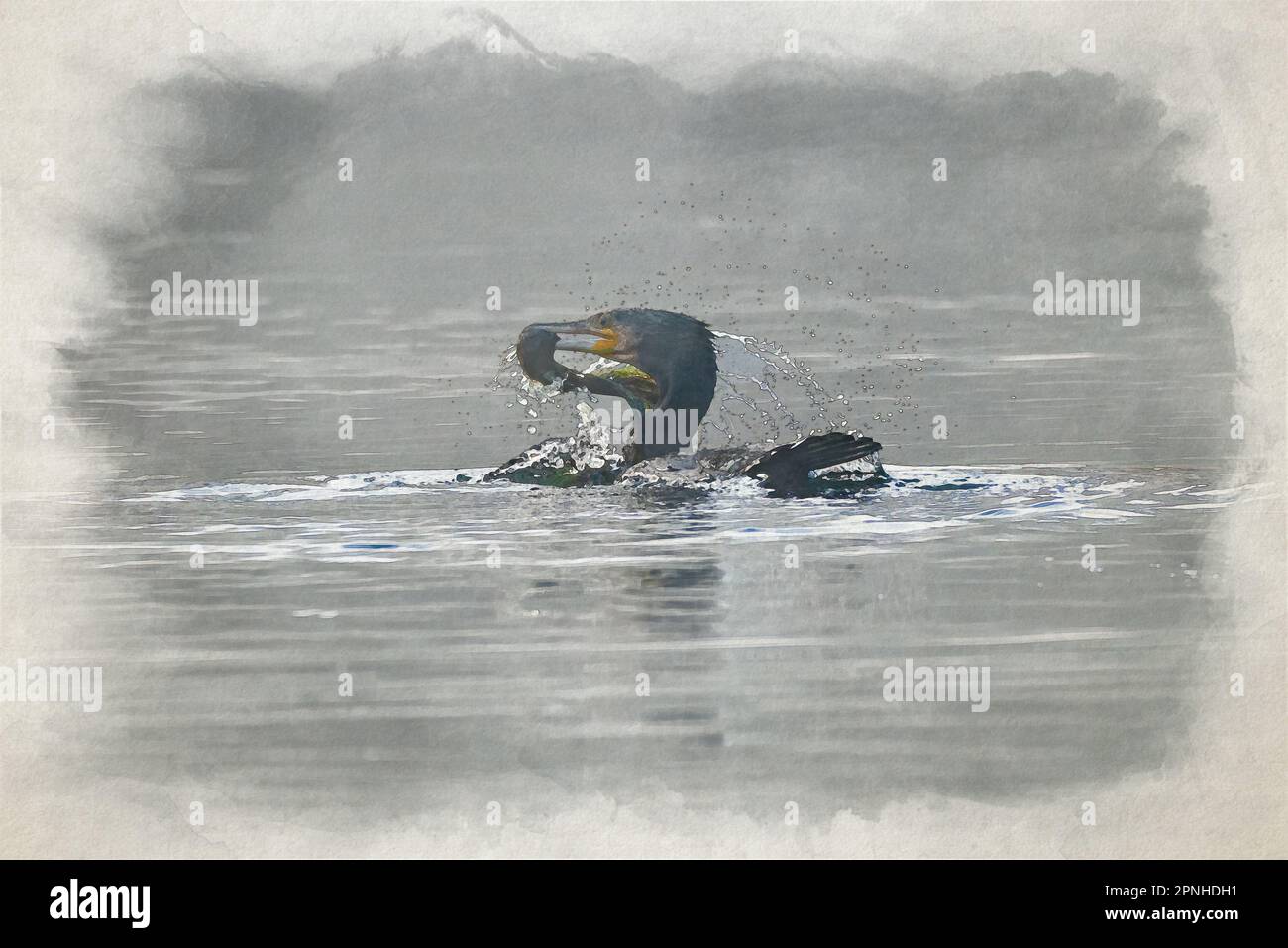 Hunter Sibley Hi res Stock Photography And Images Alamy