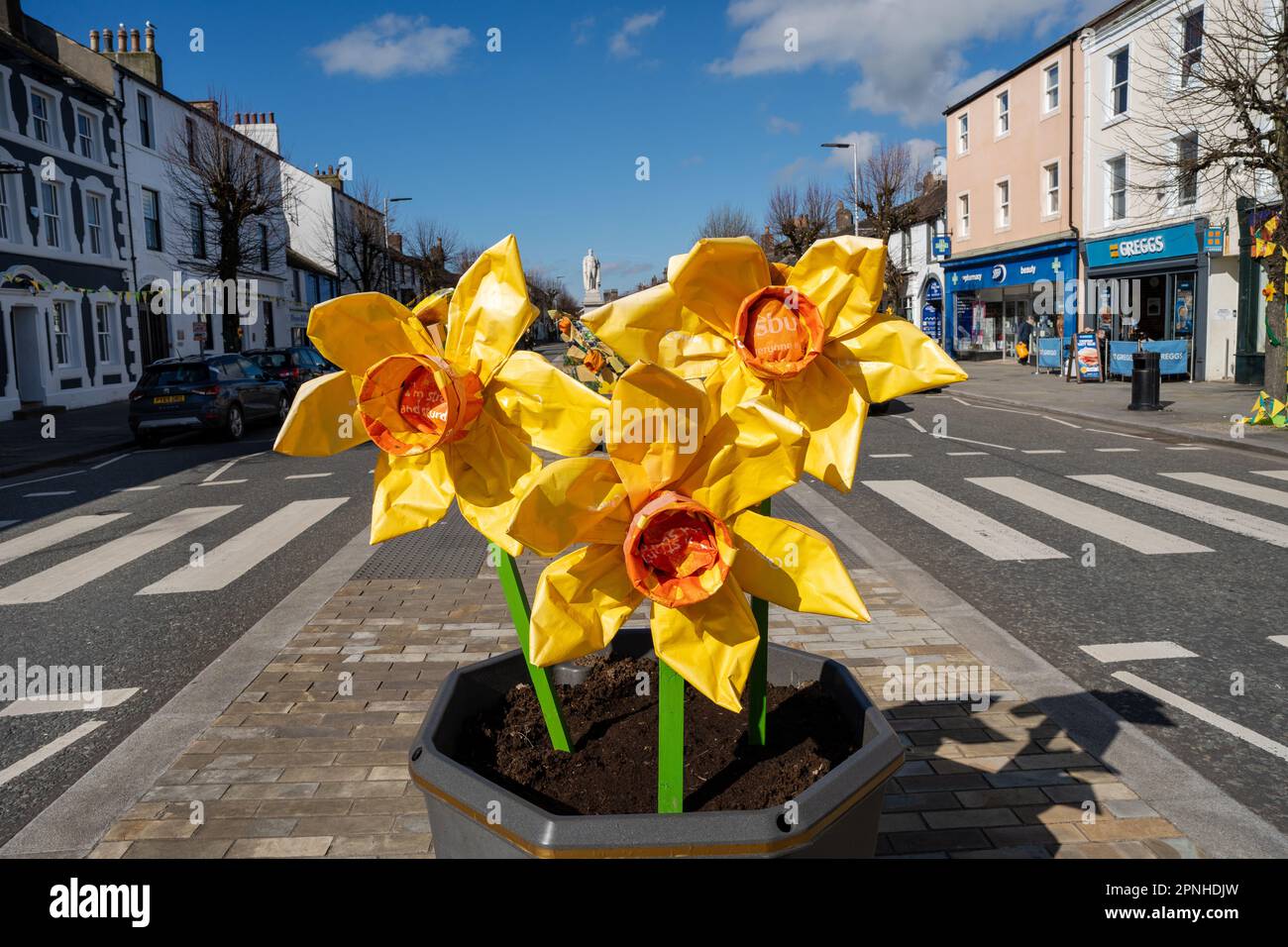 Daffodil artwork on Main Street, Cockermouth, Cumbria, UK, celebrating