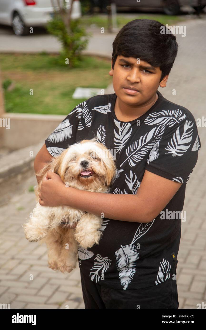 Shih Tzu dog sitting on the steps in the town. a dog in the city. Dog