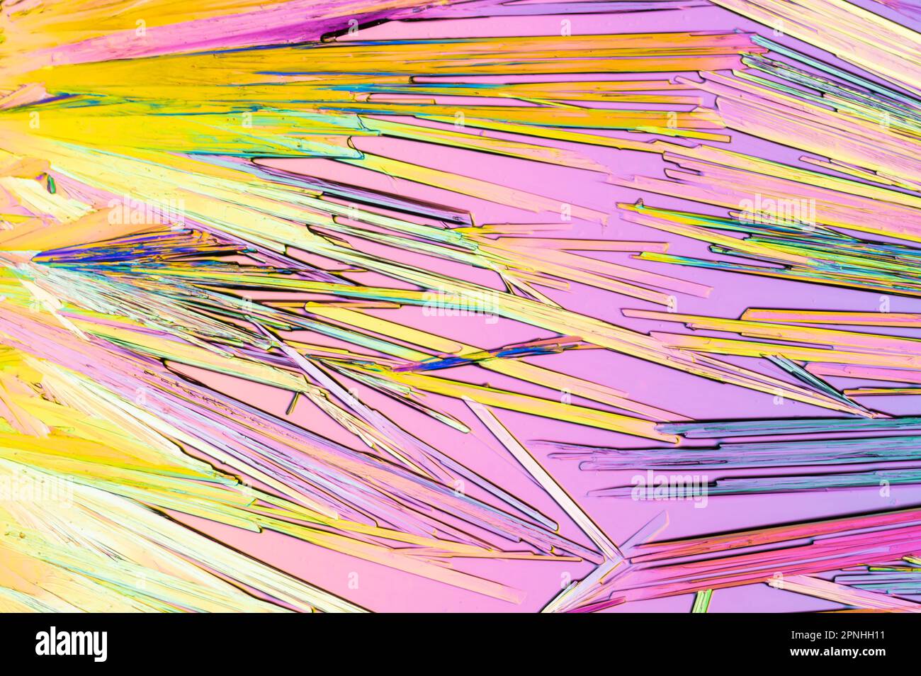 Epsom salts crystals photographed on a microscope slide using crossploarised light and a wave