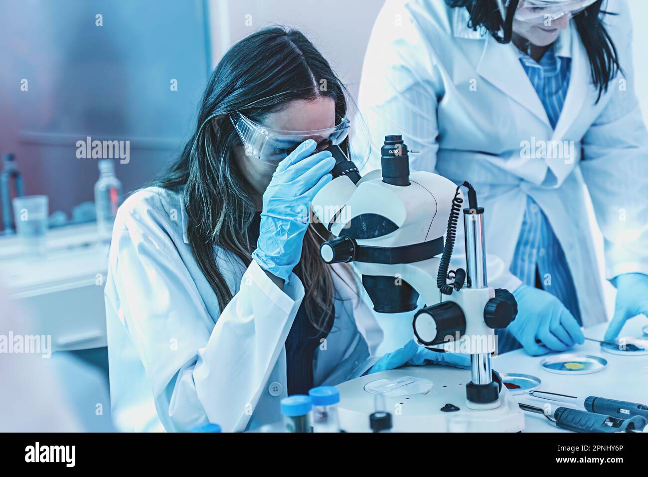 Young female scientist in lab coat and safety goggles examining a sample under a microscope in a softly lit chemical lab with blue and red lights. Stock Photo
