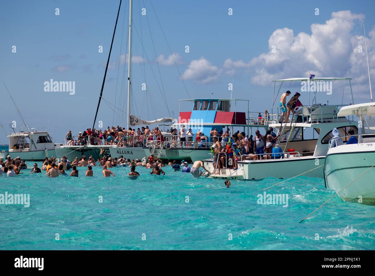 Stingray City, Grand Cayman Stock Photo Alamy