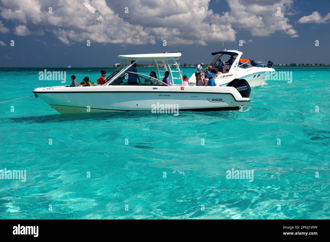Stingray City, Grand Cayman Stock Photo Alamy