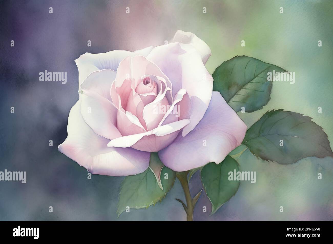 English rose border hi-res stock photography and images - Page 12 - Alamy