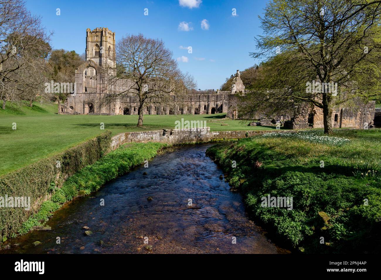 The ruins of Fountains Abbey near Ripon in North Yorkshire in the