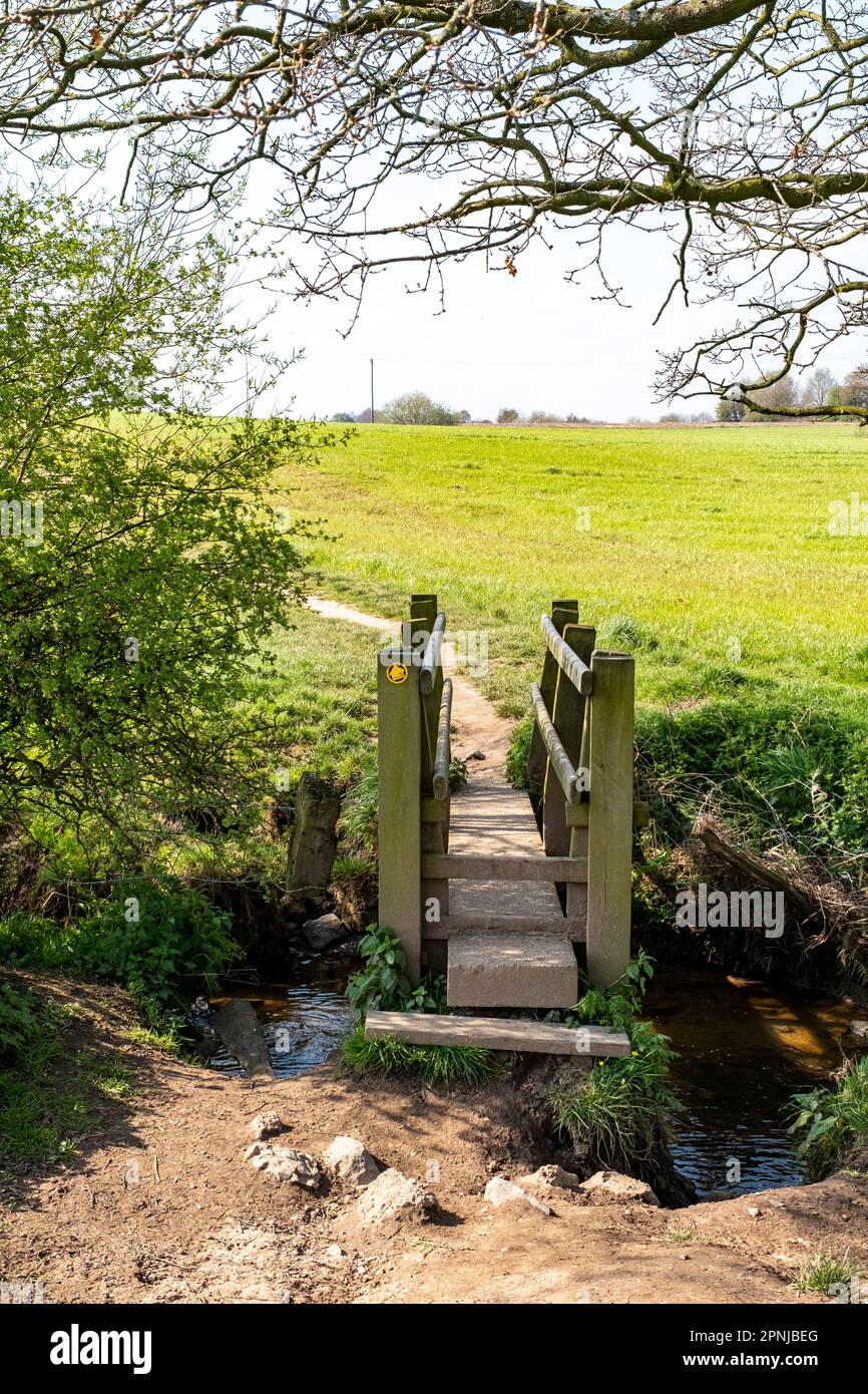Wooden footbridge over stream on public footpath in Cheshire UK Stock Photo