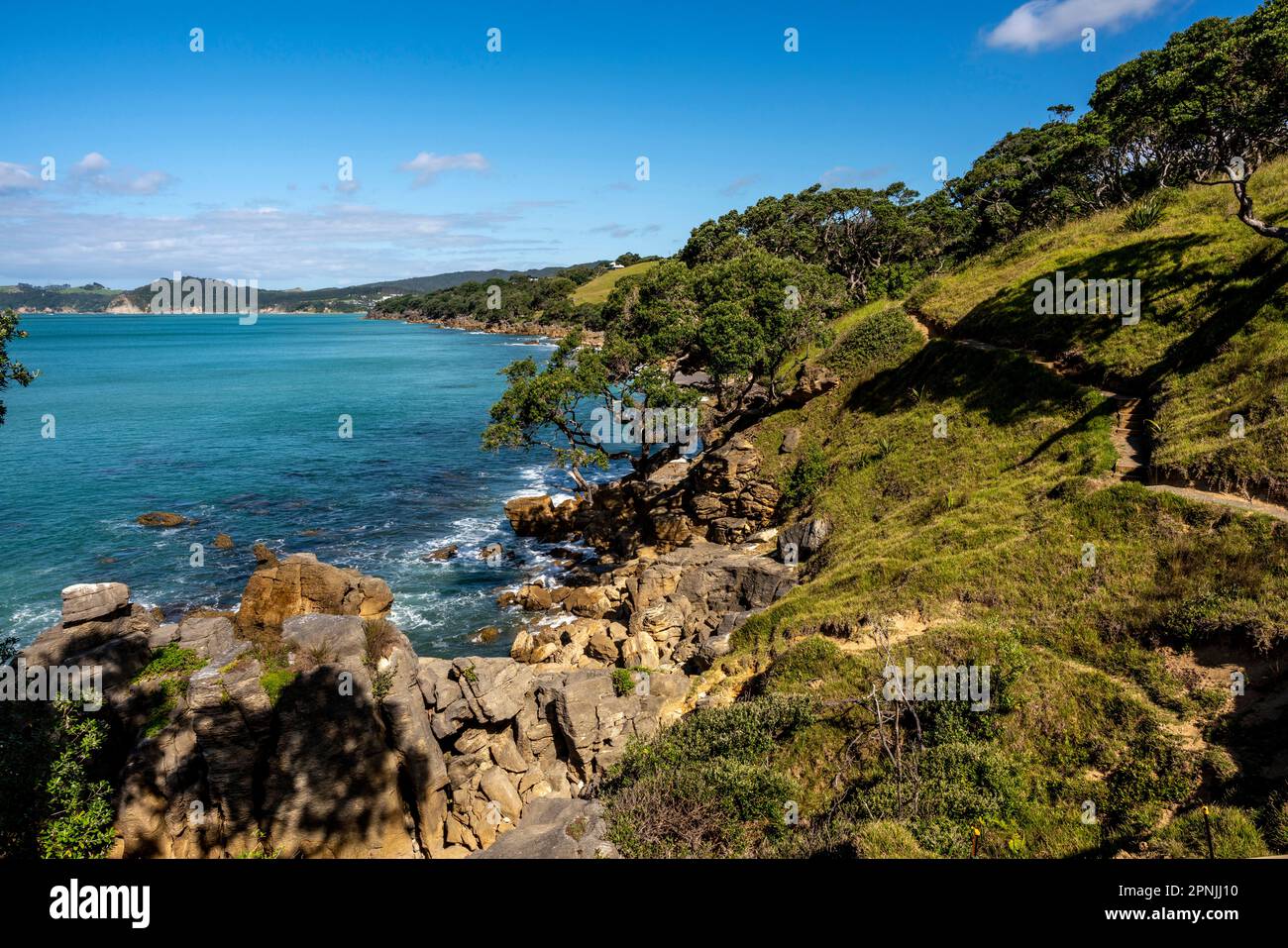 The Waipu Coastal Walkway, Waipu Cove, Bream Bay, Northland, New