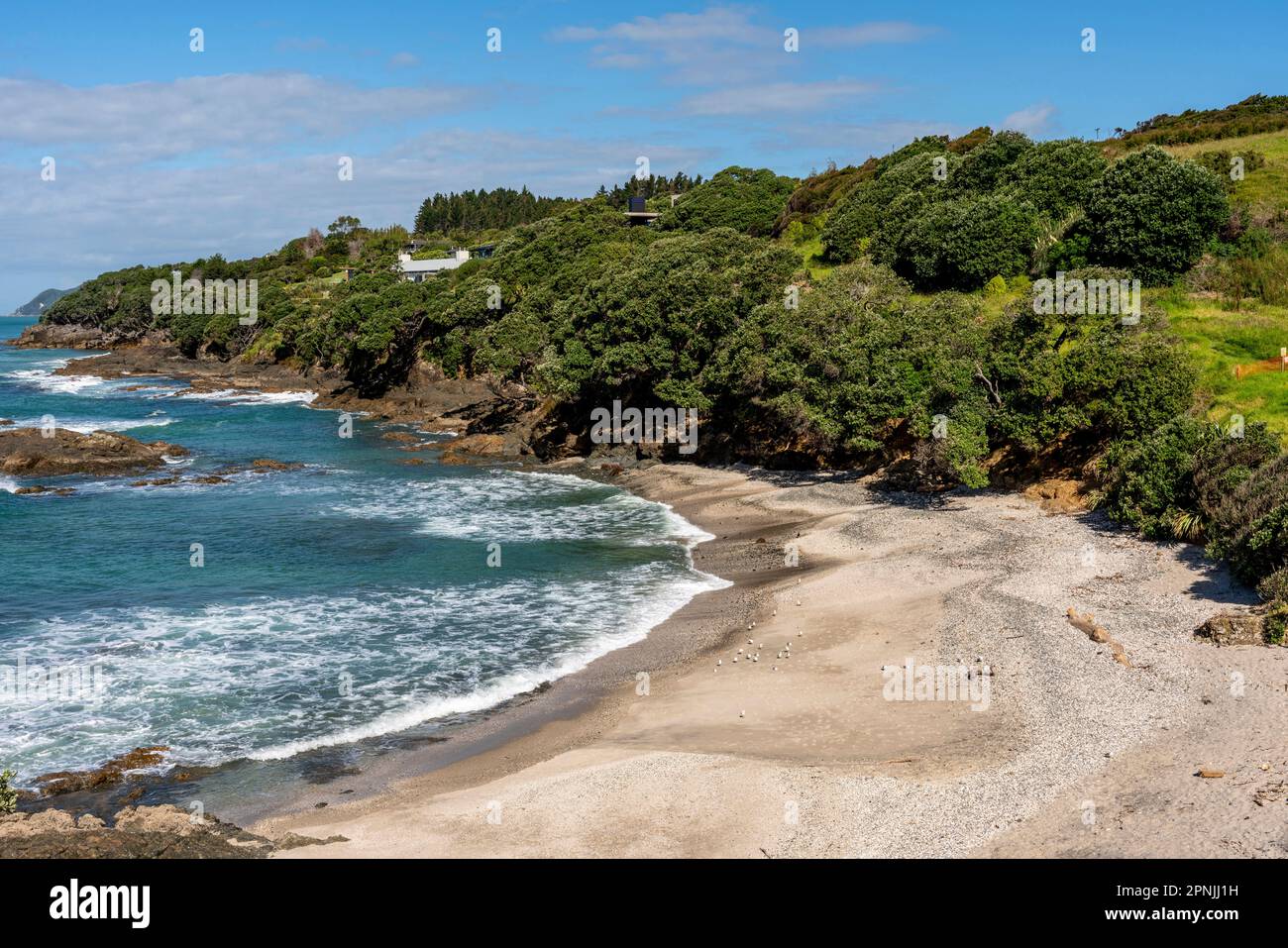 The Waipu Coastal Walkway, Waipu Cove, Bream Bay, Northland, New