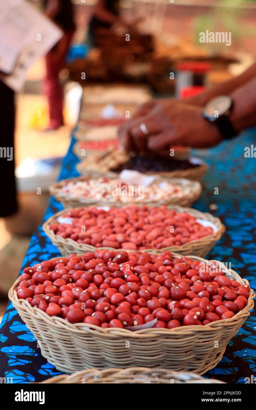 A variety of beans is seen during a showcase of sustainable food