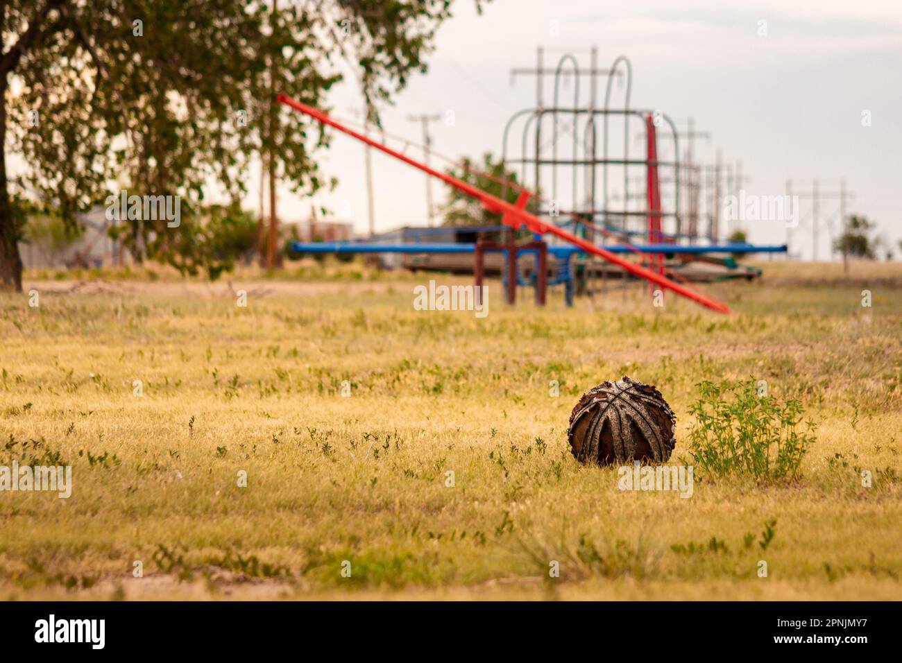 a Weathered and faded Basketball decaying in Overgrown Abandoned Park