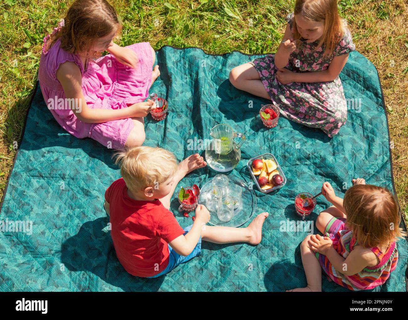 Top view of group of children sitting on a blanket eating berry mousse