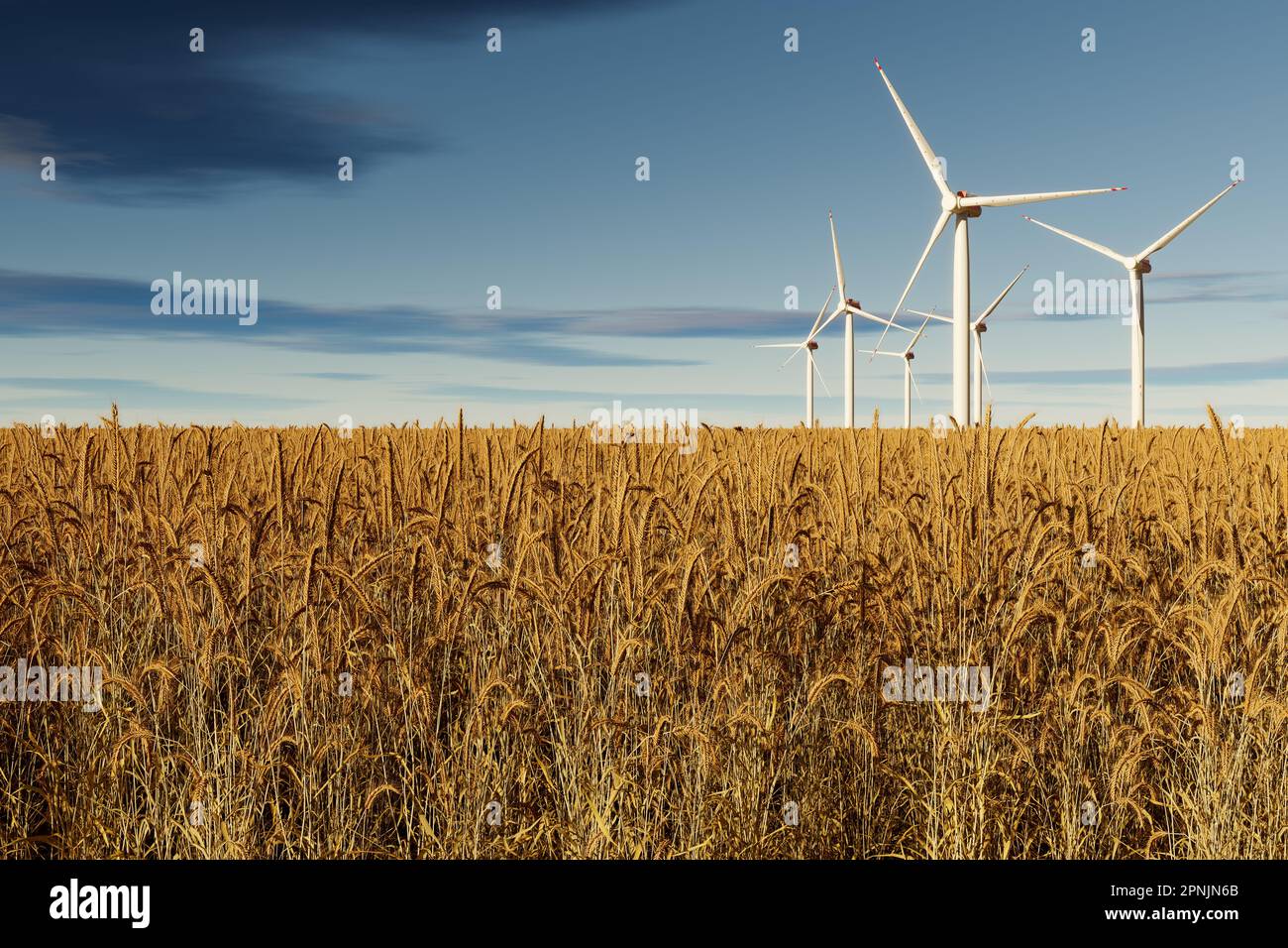 wind turbines in a wheat field - 3D Illustration Stock Photo - Alamy
