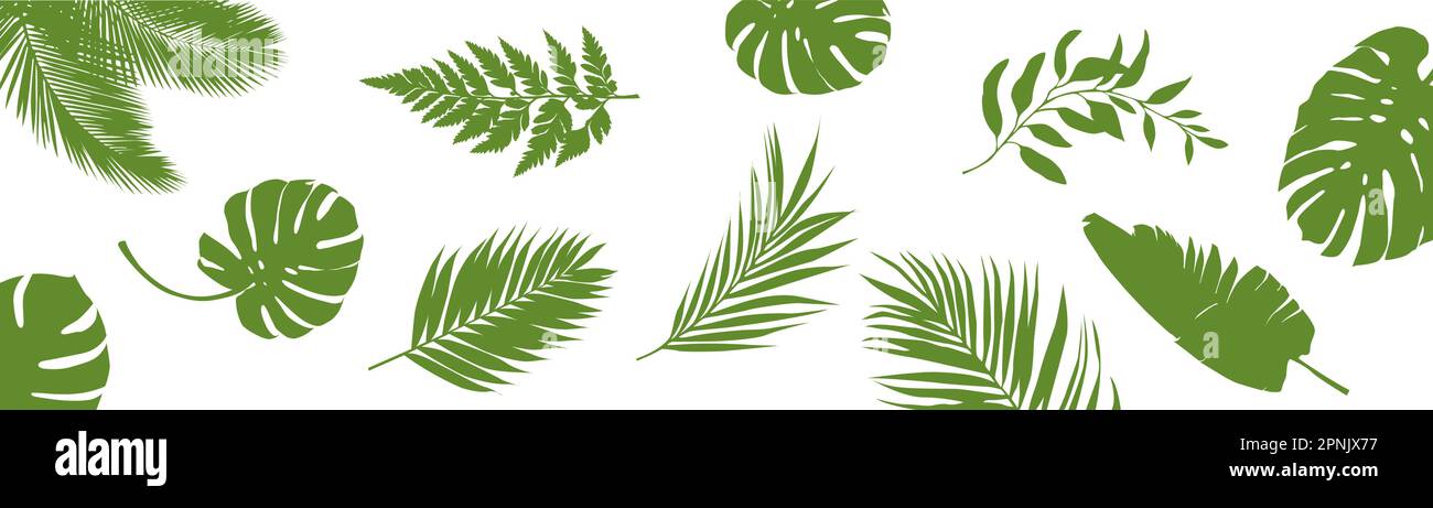 Tropical leaves green isolated jungle leaf. Exotic flat vector set icon ...
